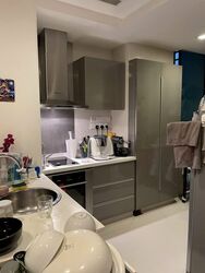The Suites At Central (D9), Condominium #597157361